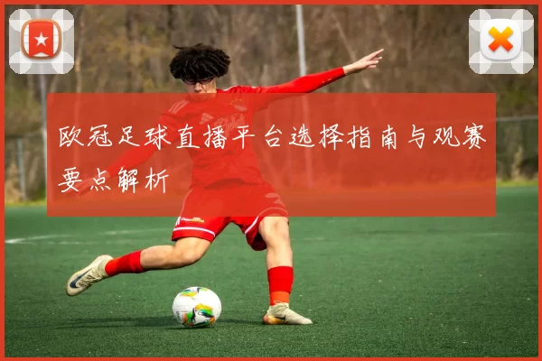 欧冠足球直播平台选择指南与观赛要点解析