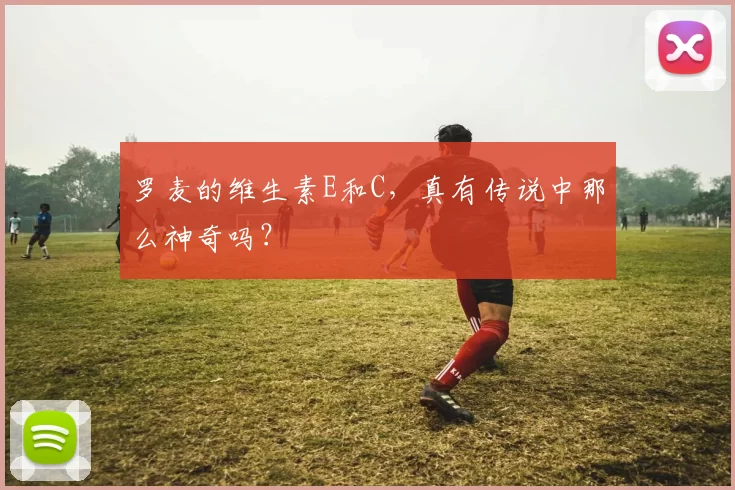 罗麦的维生素E和C，真有传说中那么神奇吗？