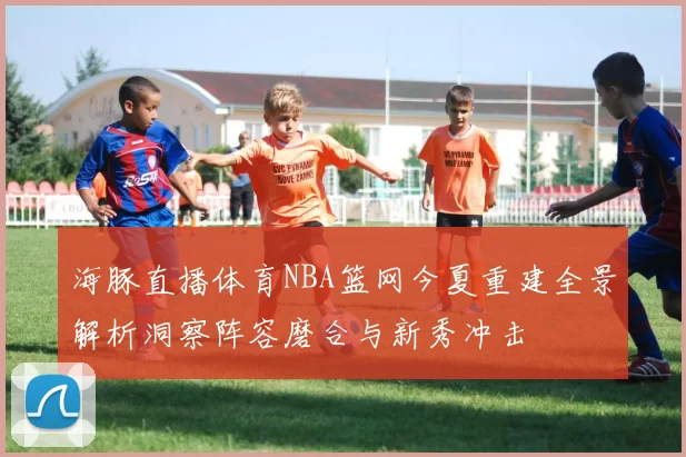 海豚直播体育NBA篮网今夏重建全景解析洞察阵容磨合与新秀冲击