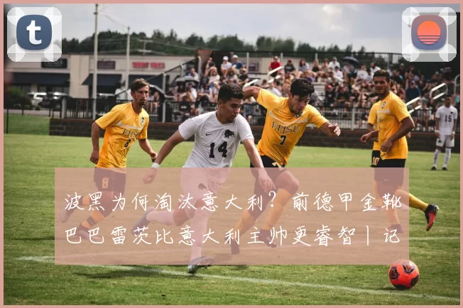 波黑为何淘汰意大利?前德甲金靴巴巴雷茨比意大利主帅更睿智丨记者观察_加图索_点球_球员