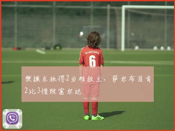 樊振东独得2分难救主，萨尔布吕肯2比3惜败富尔达