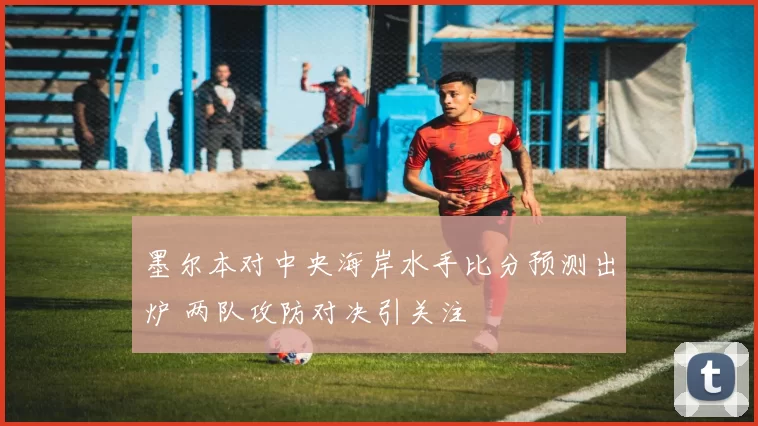 墨尔本对中央海岸水手比分预测出炉 两队攻防对决引关注