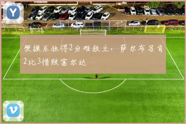 樊振东独得2分难救主,萨尔布吕肯2比3惜败富尔达