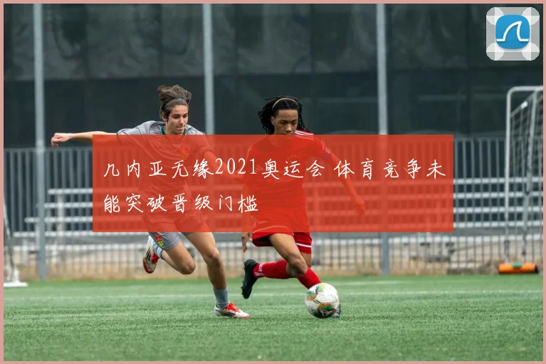 几内亚无缘2021奥运会 体育竞争未能突破晋级门槛