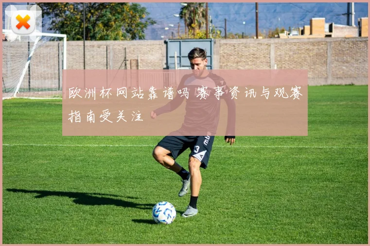 欧洲杯网站靠谱吗 赛事资讯与观赛指南受关注